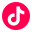 tiktok icon